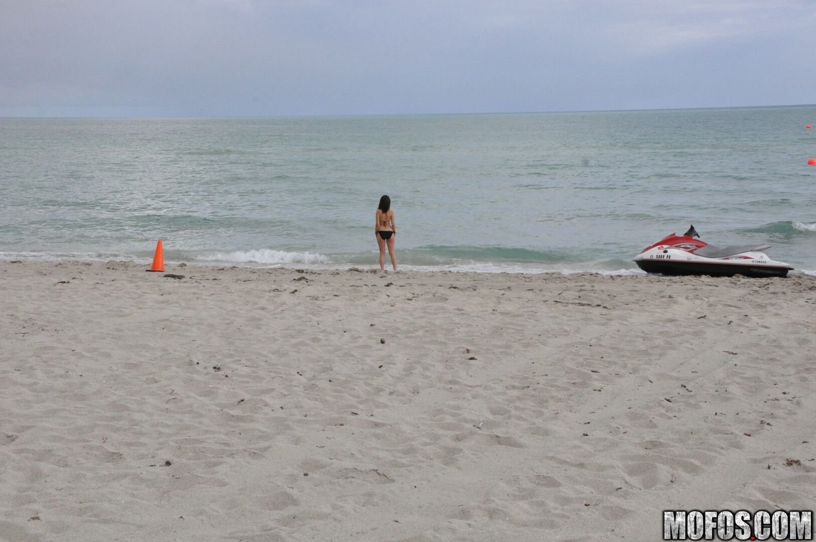 Miami Bitch 3023171