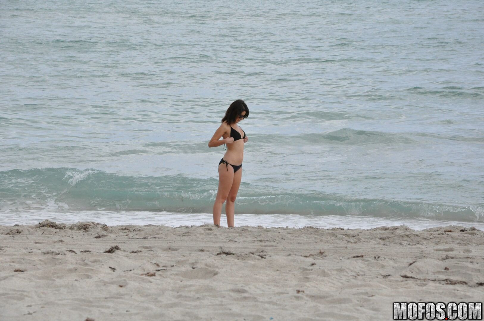 Miami Bitch 3023171