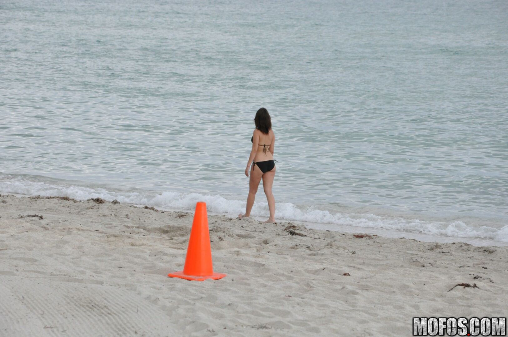 Miami Bitch 3023171