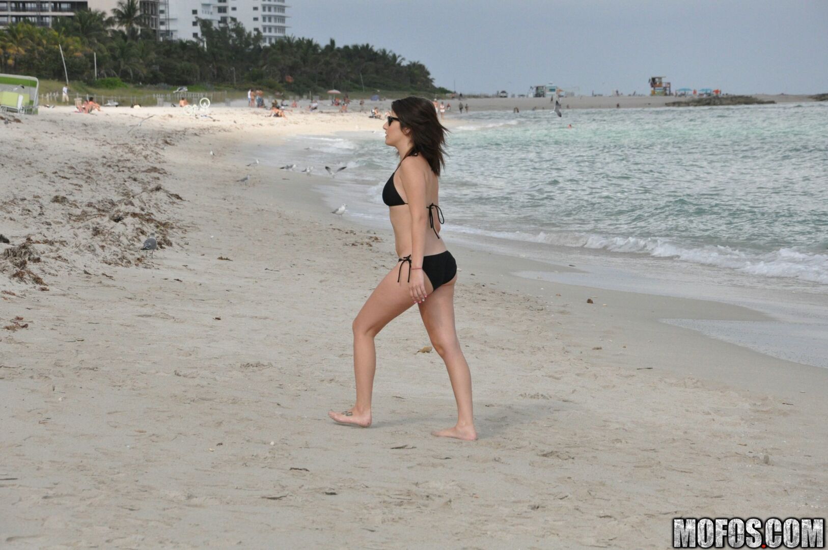 Miami Bitch 3023171