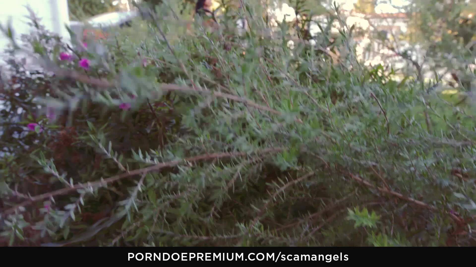 ScamAngels: Hottub Hotties