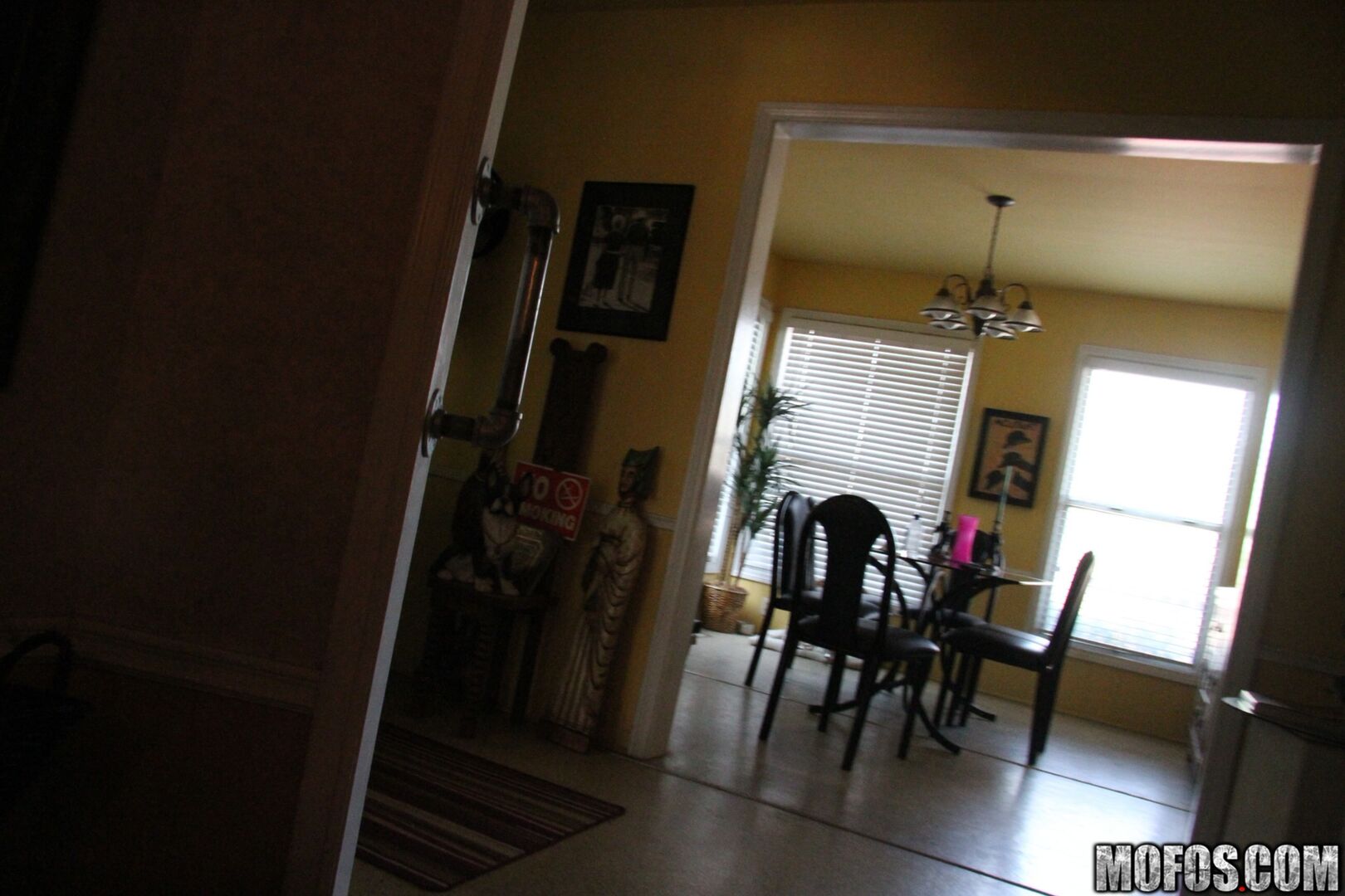 House Sitting Spy