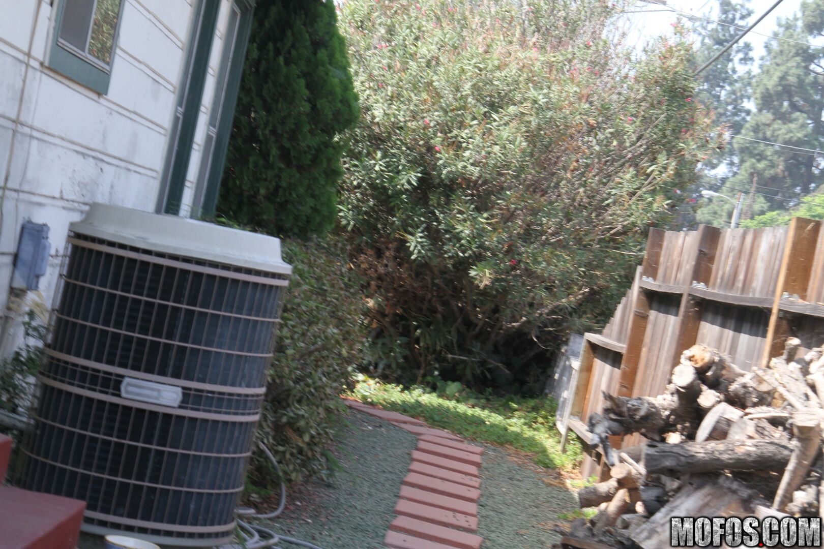 House Sitting Spy