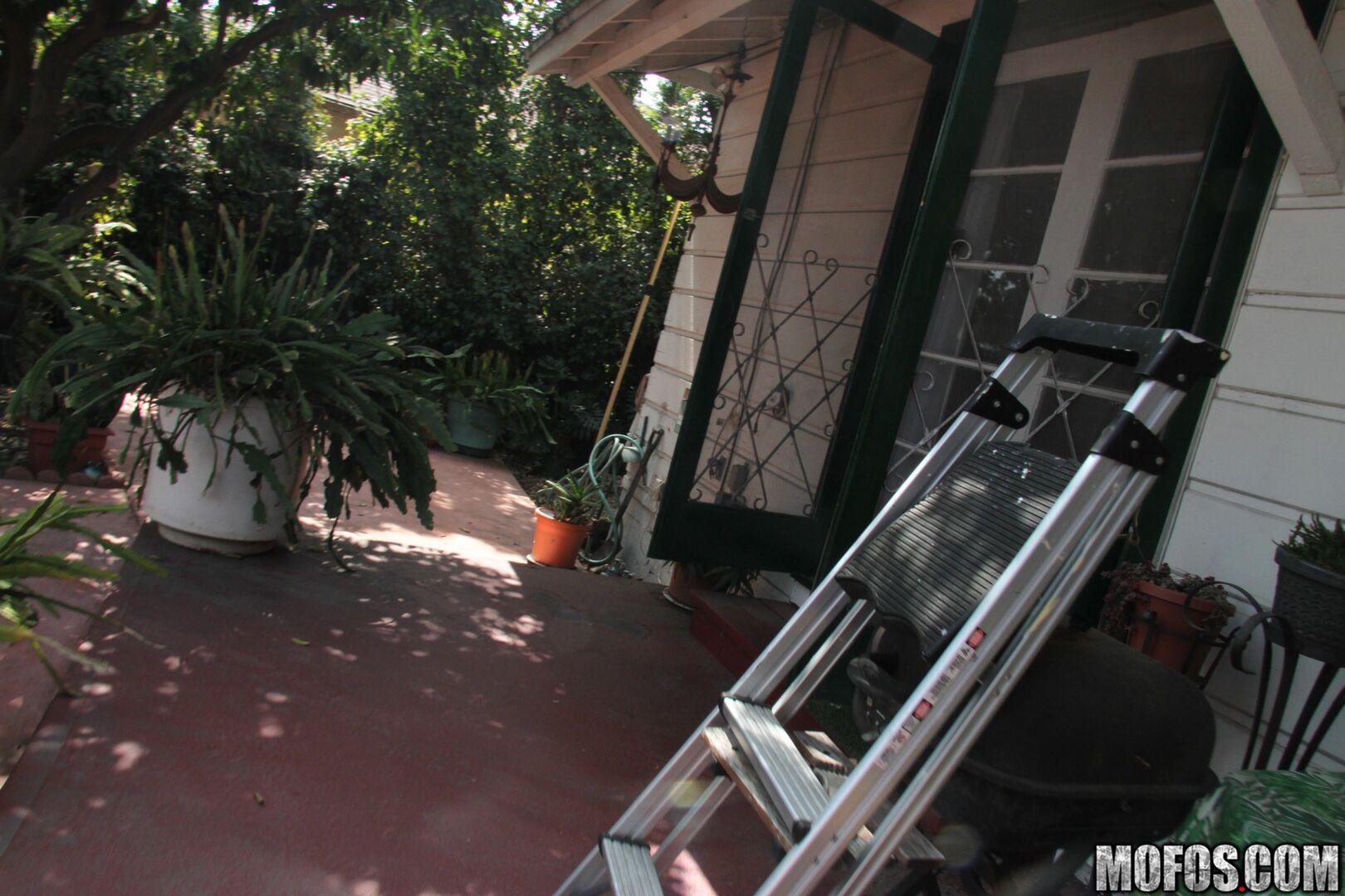 House Sitting Spy