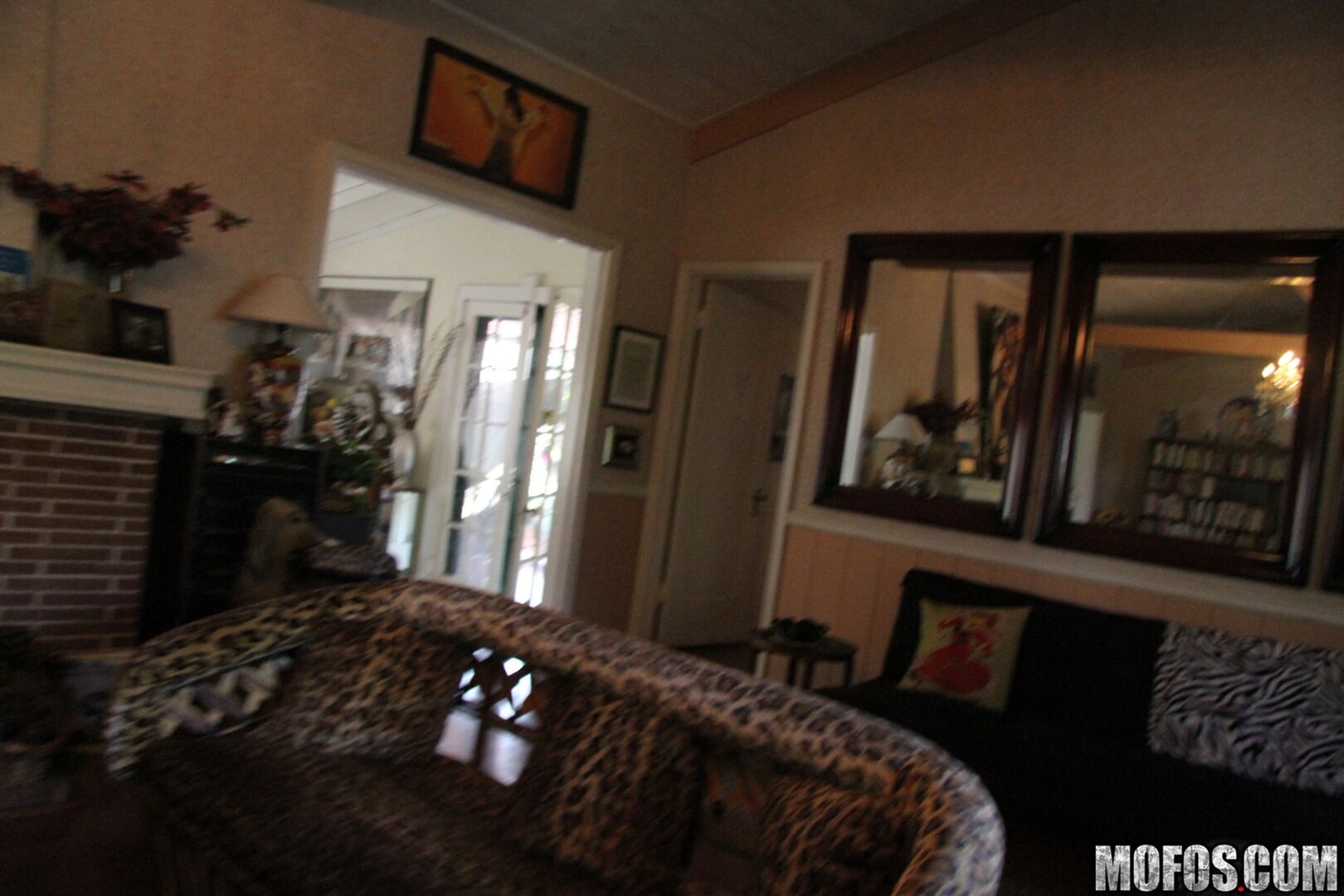 House Sitting Spy