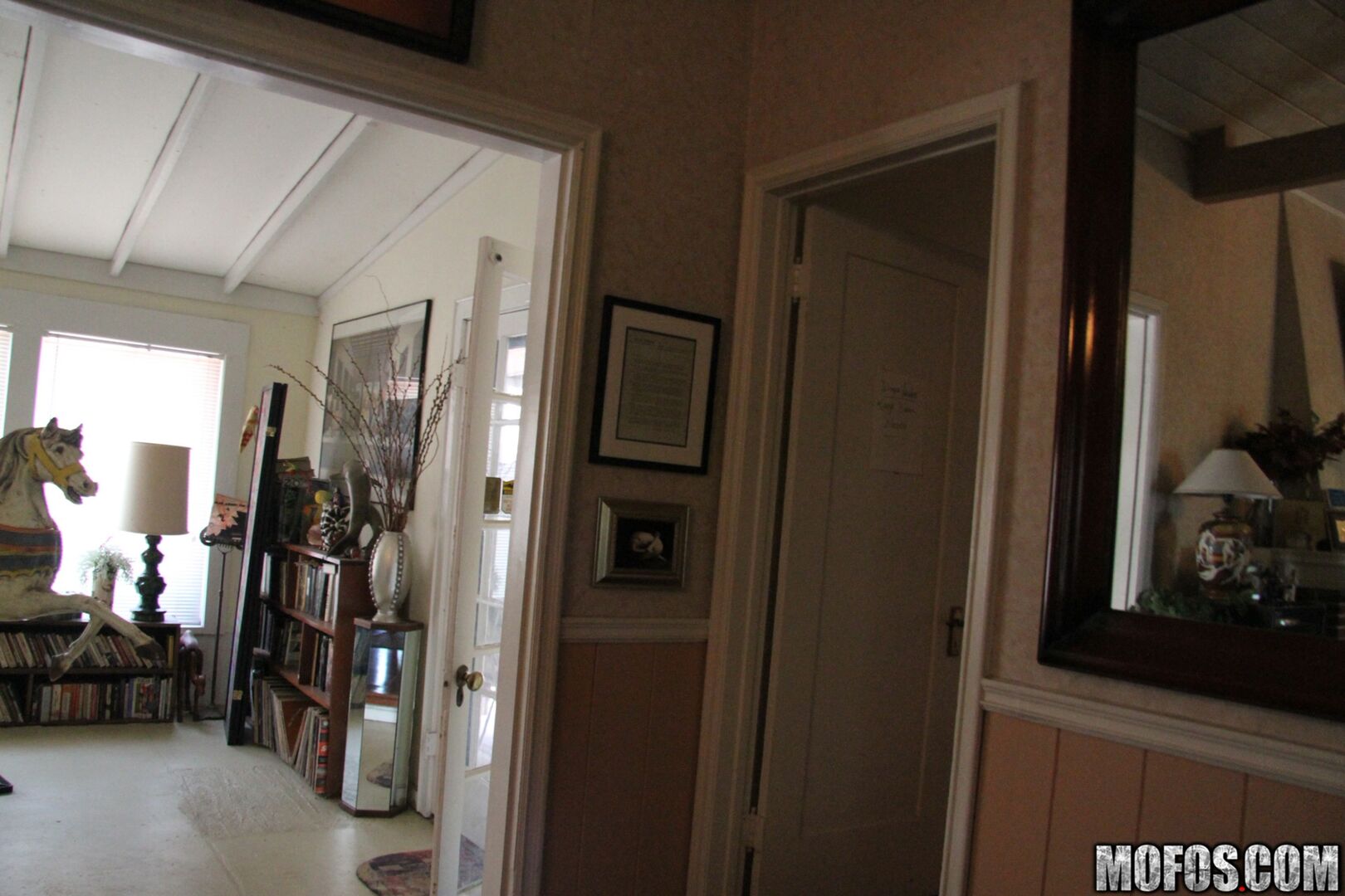 House Sitting Spy