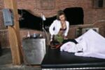 The Brides Of Frankencock