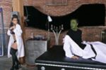 The Brides Of Frankencock