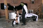 The Brides Of Frankencock