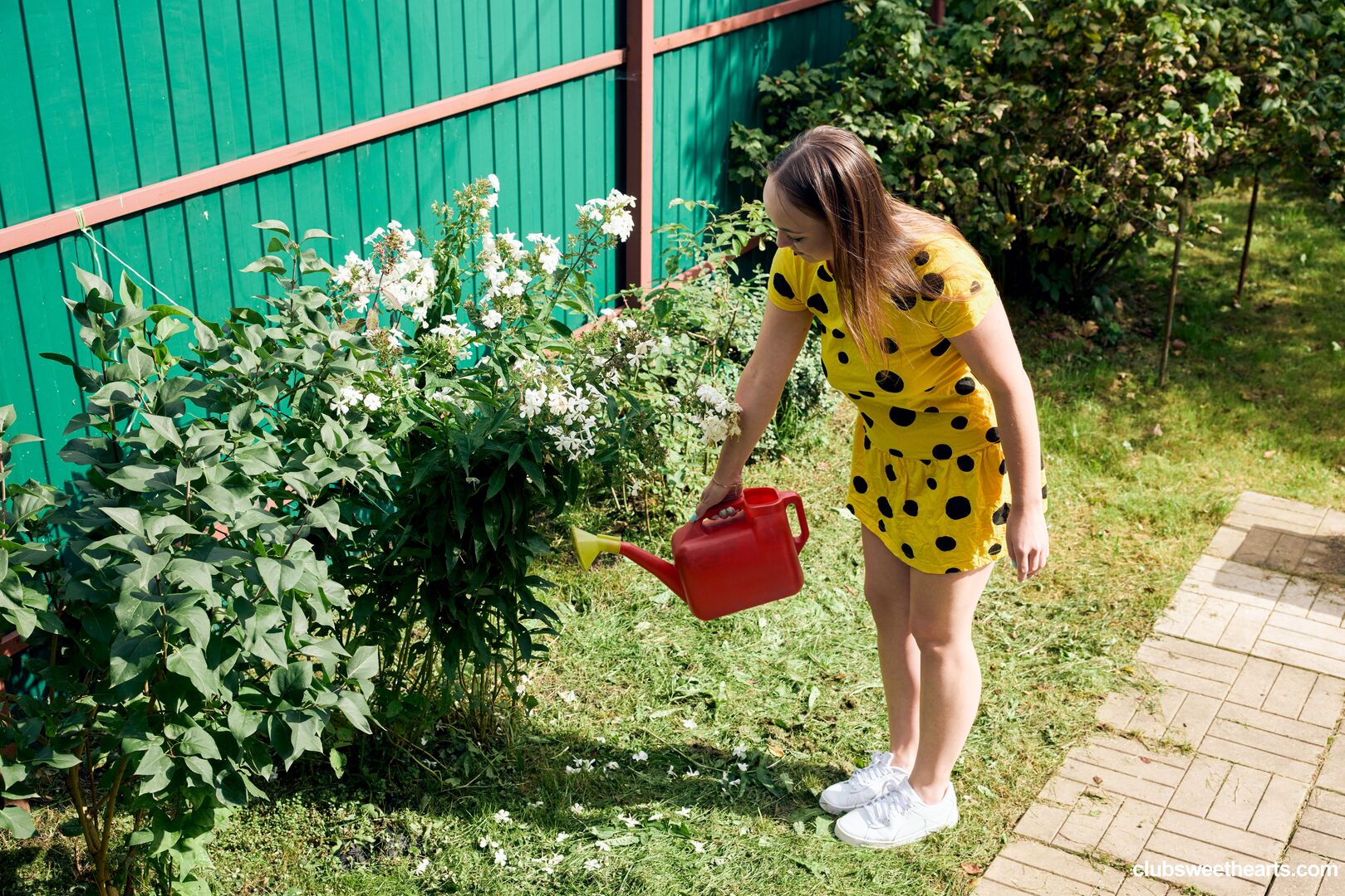 I was supposed to water the plants