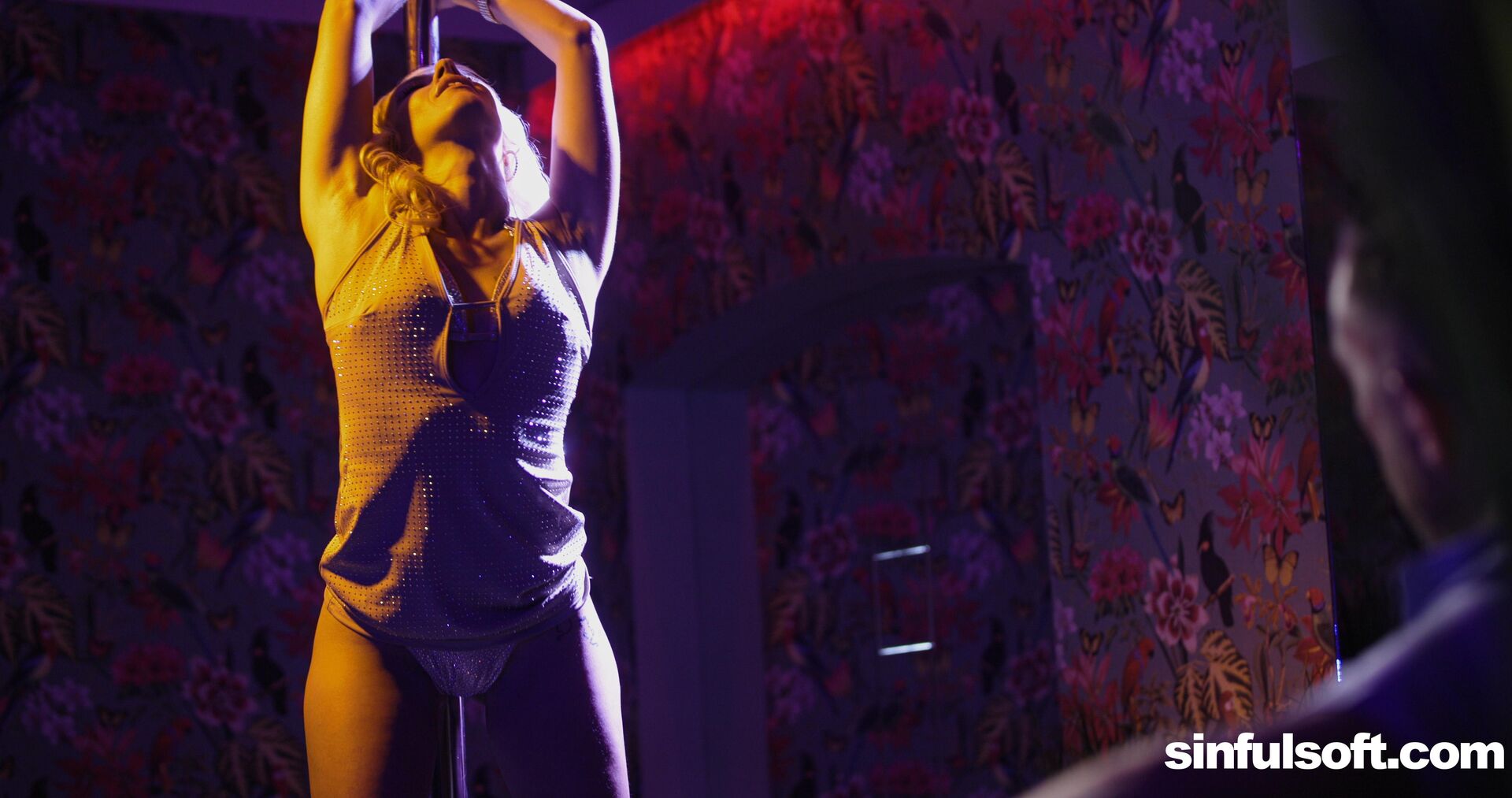 Strippers delight 1