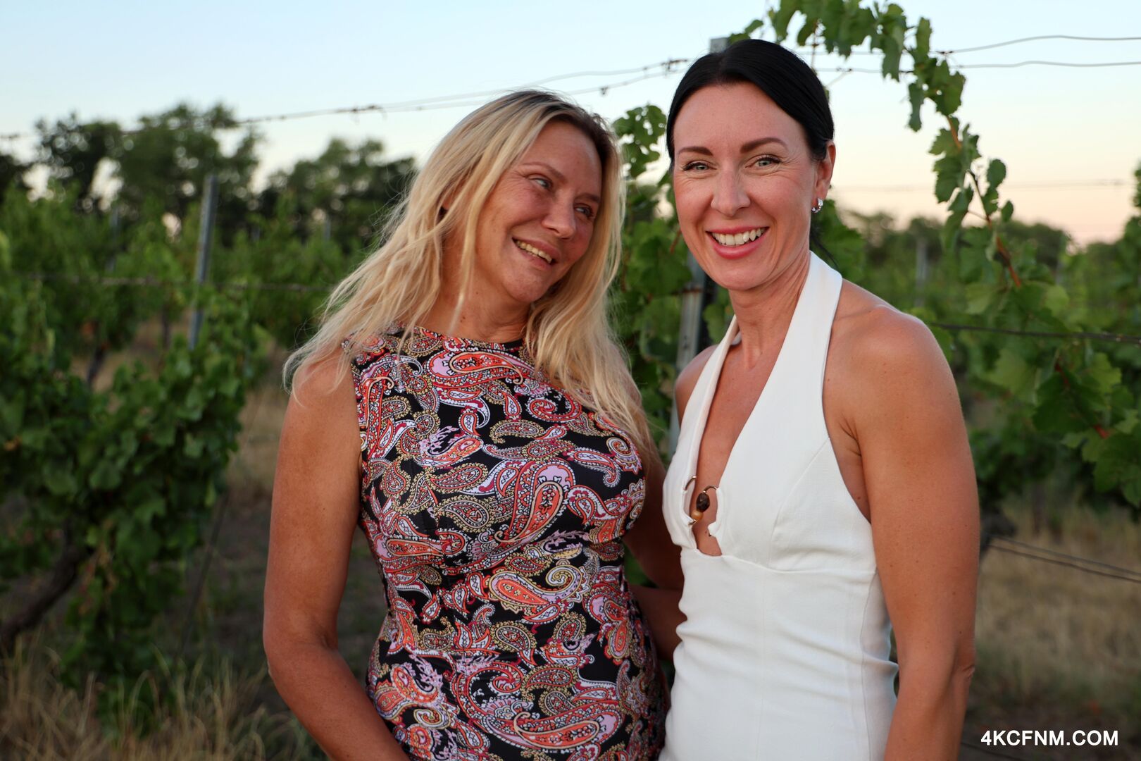 Public cumming at a vineyard