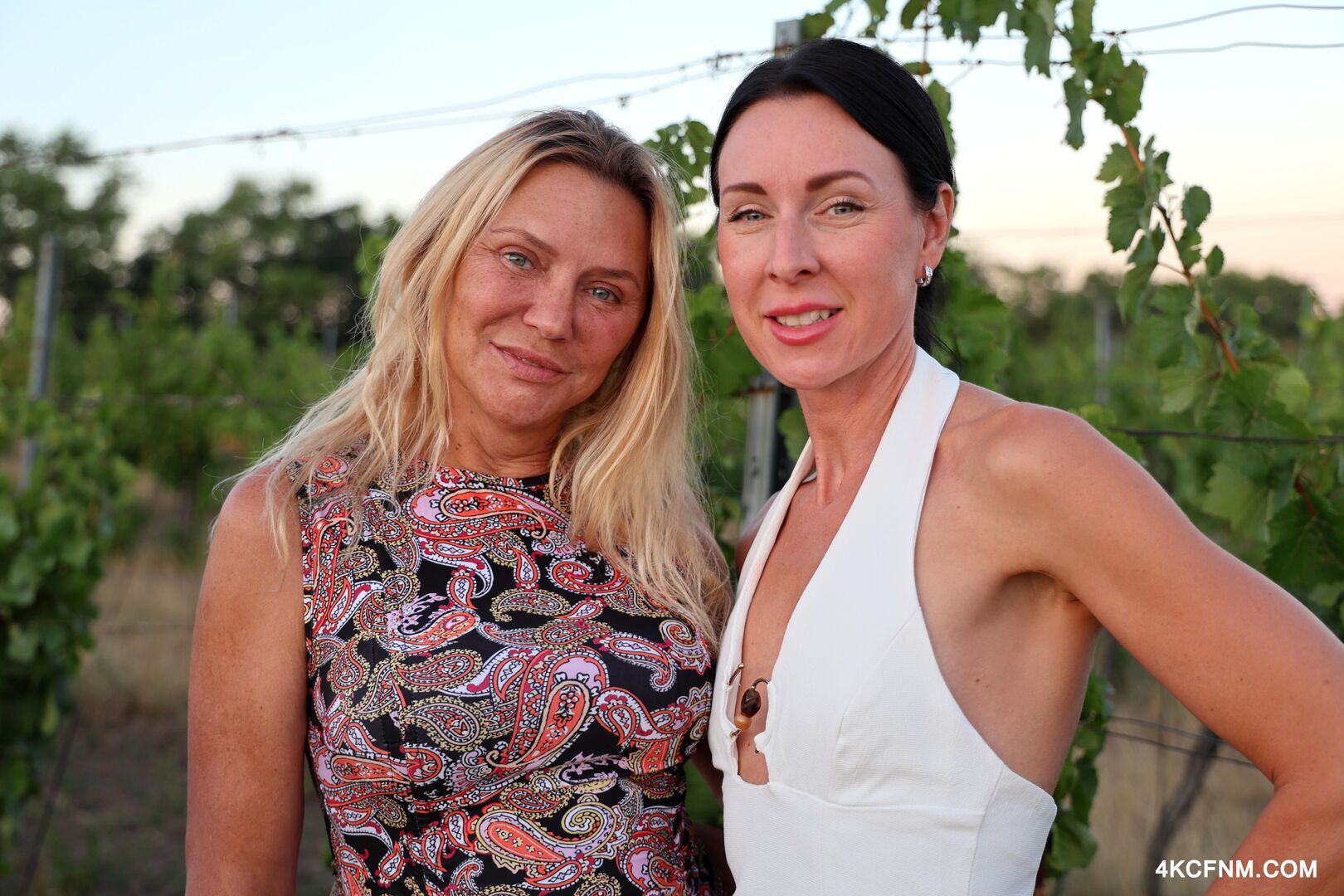 Public cumming at a vineyard