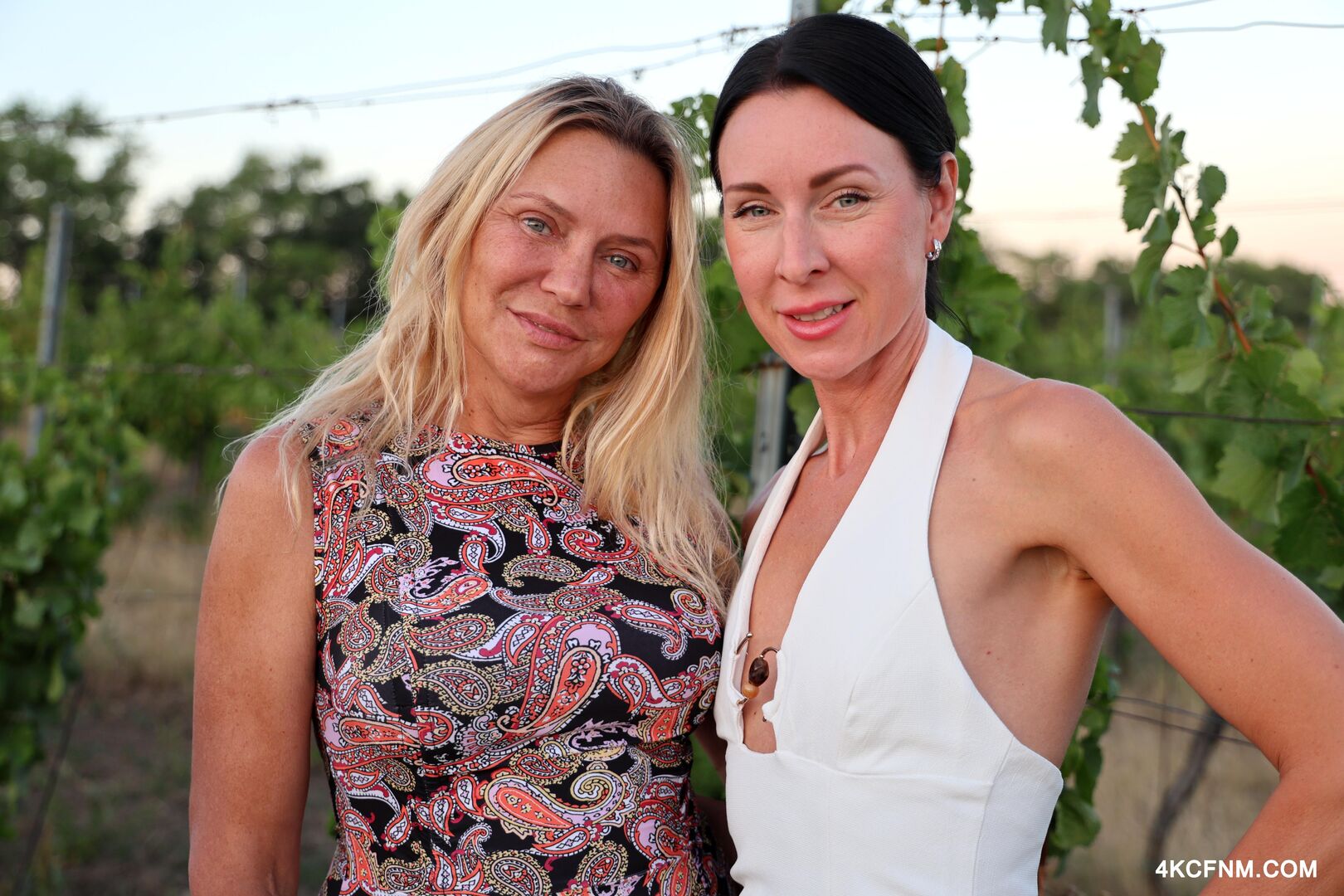 Public cumming at a vineyard