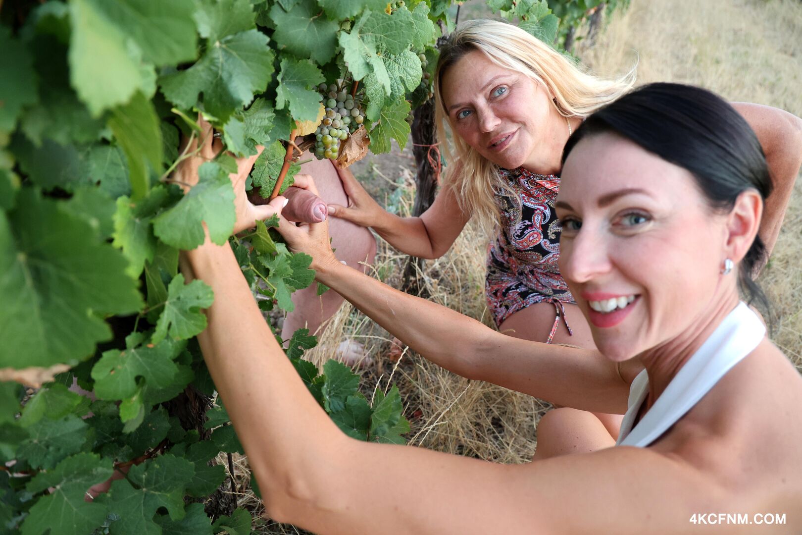 Public cumming at a vineyard