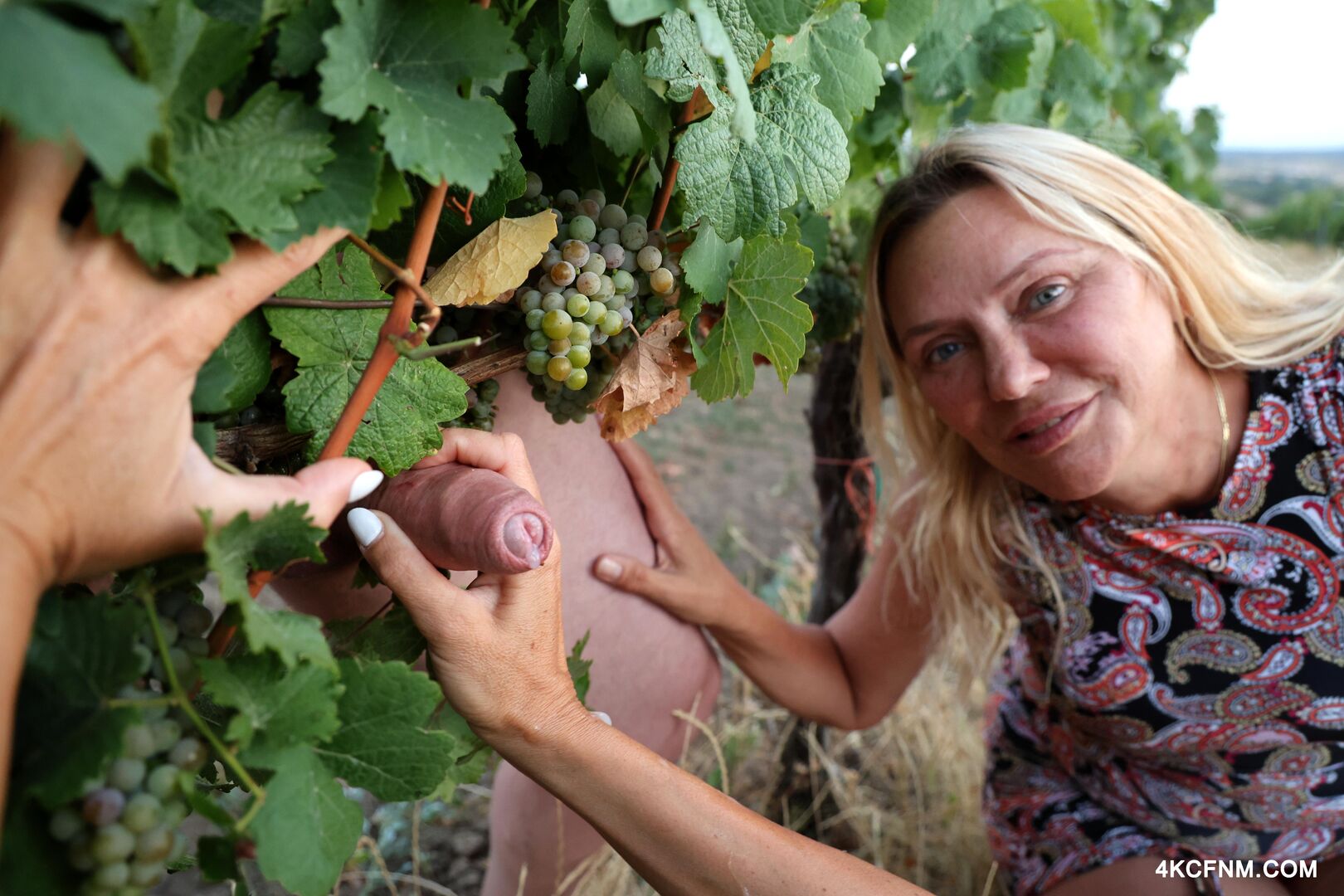 Public cumming at a vineyard