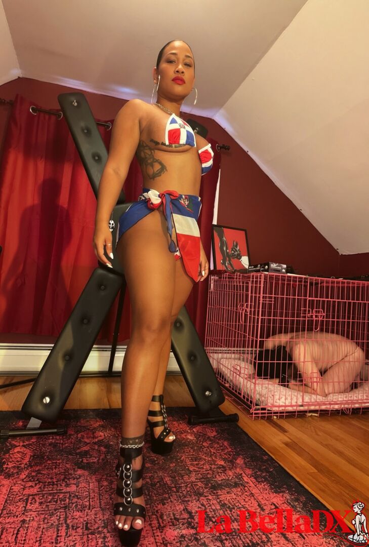 Dominican Discipline 101