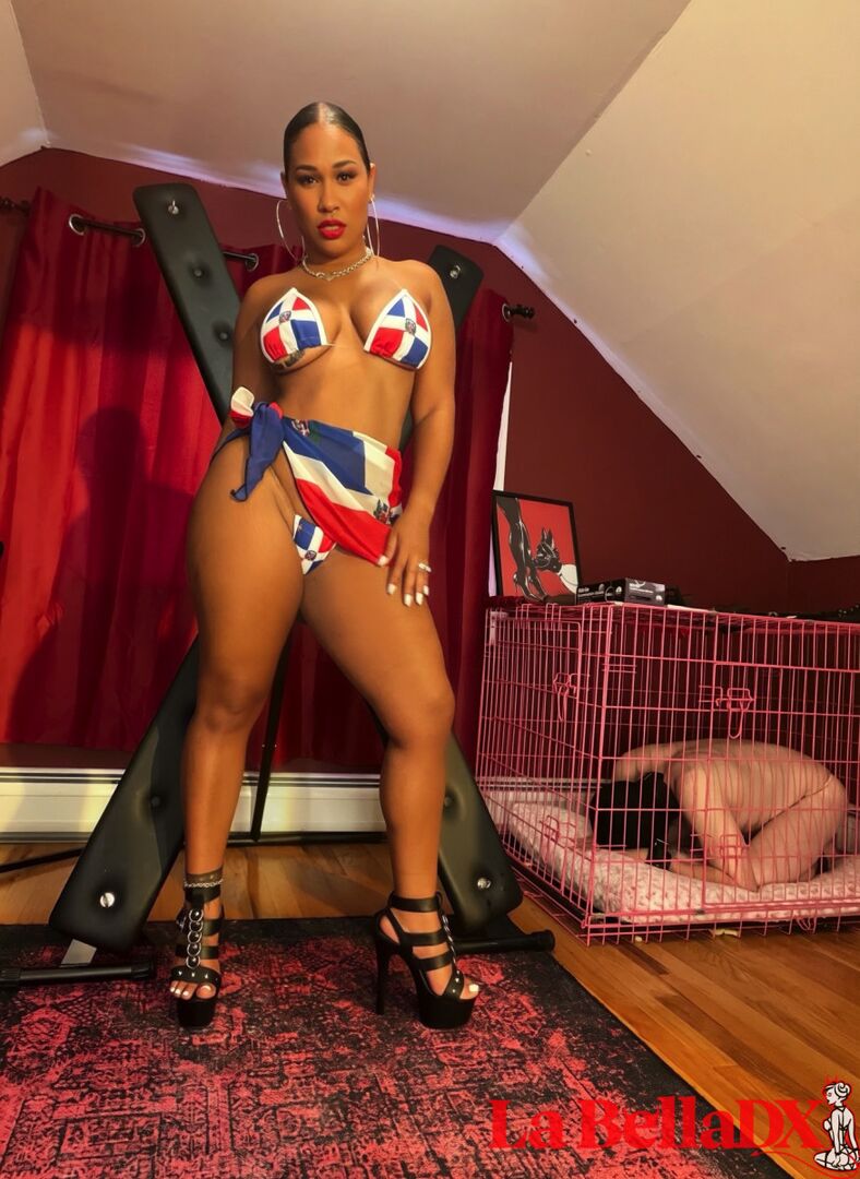 Dominican Discipline 101