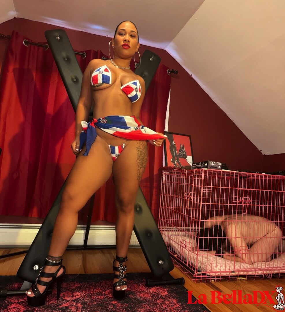 Dominican Discipline 101