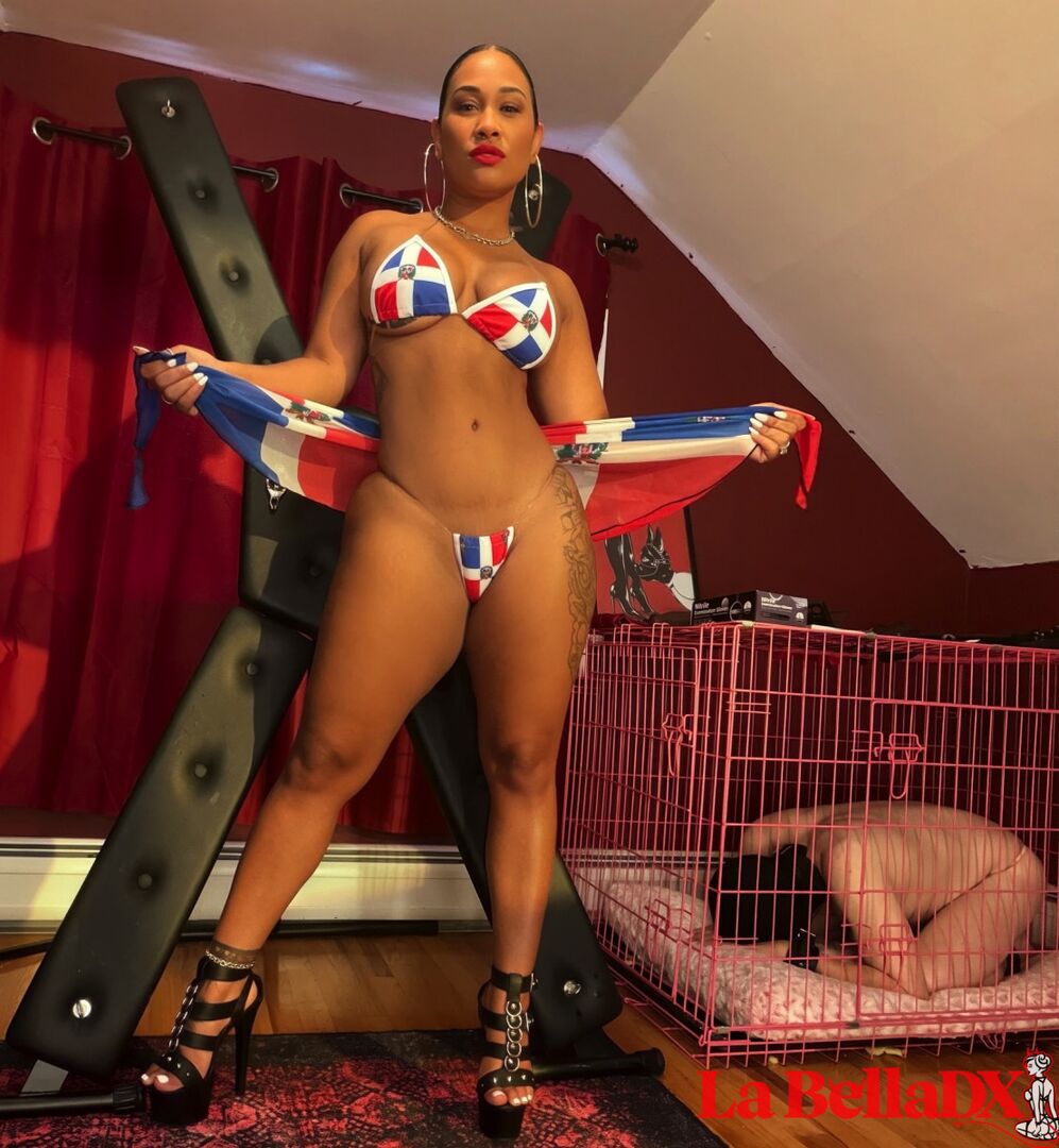 Dominican Discipline 101