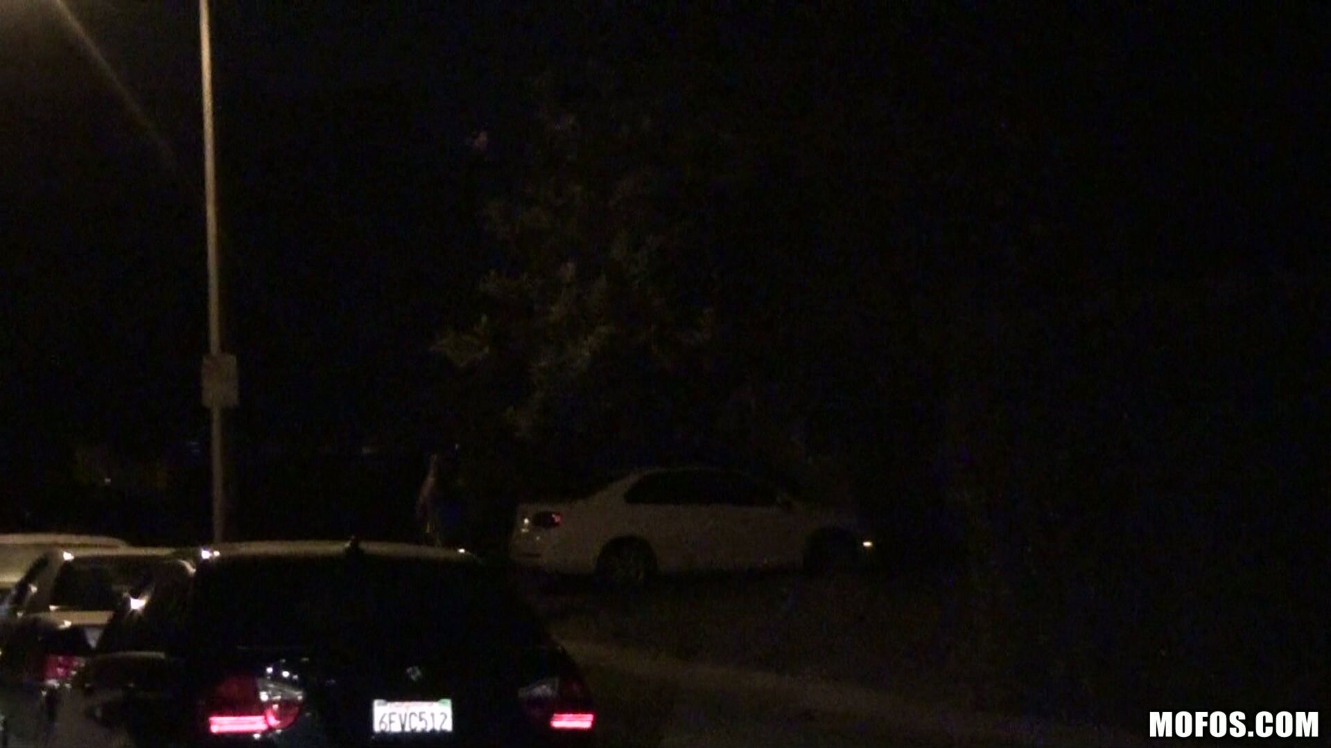 Playful Surprise