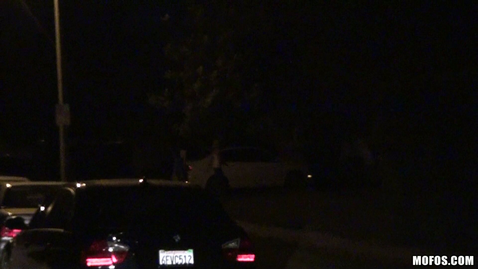Playful Surprise