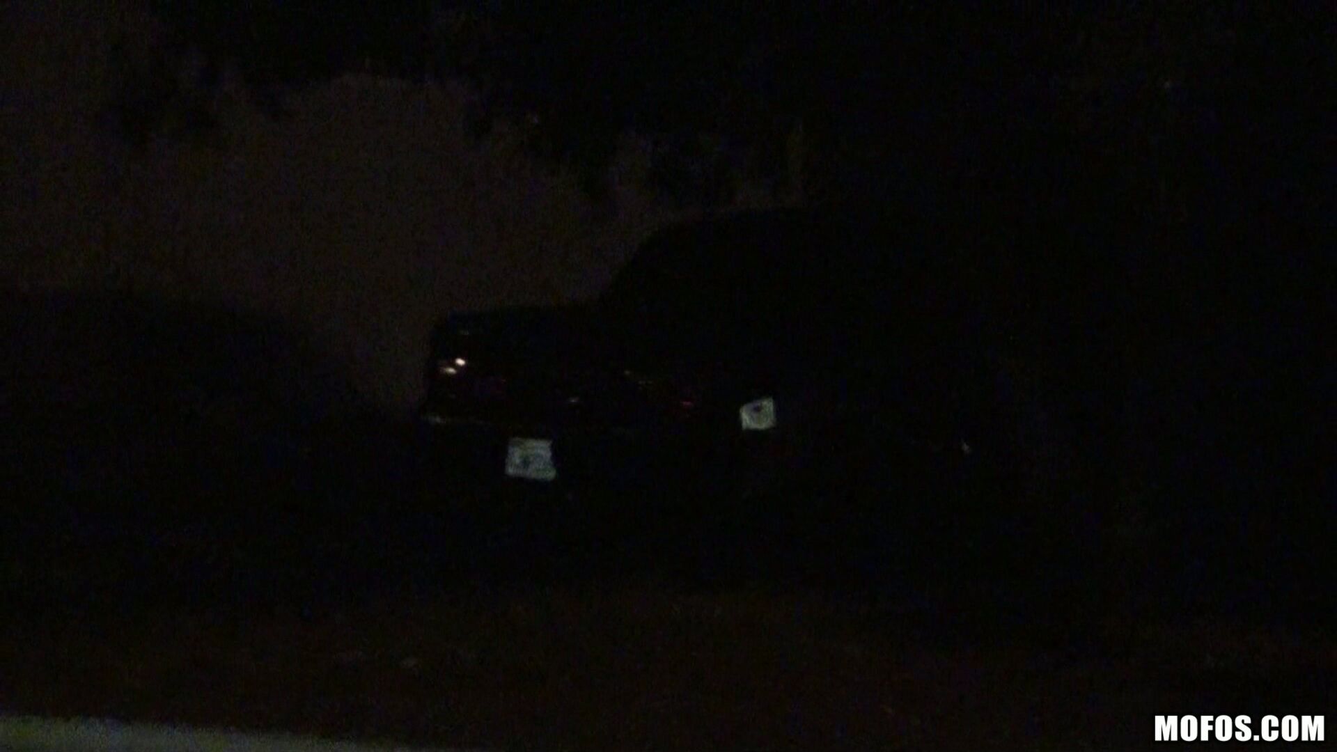 Playful Surprise