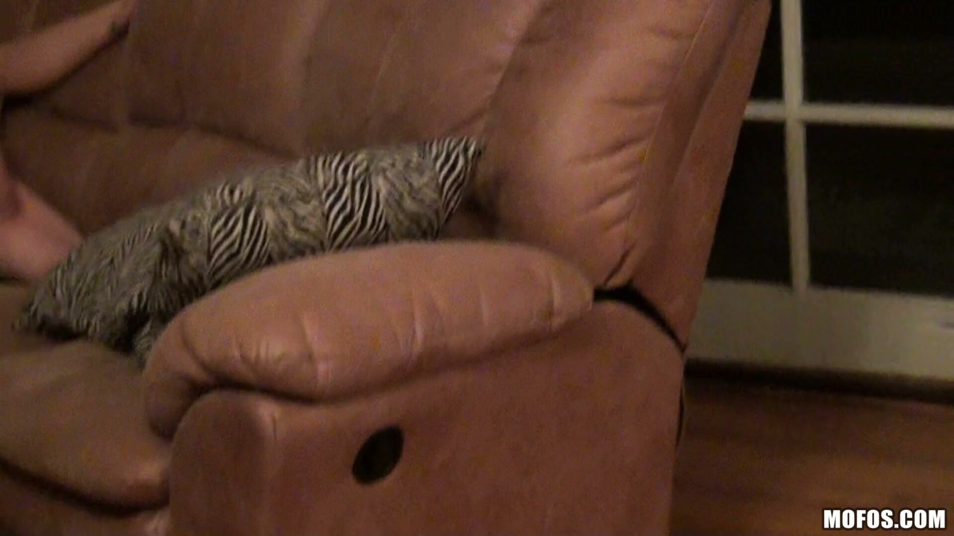 Playful Surprise