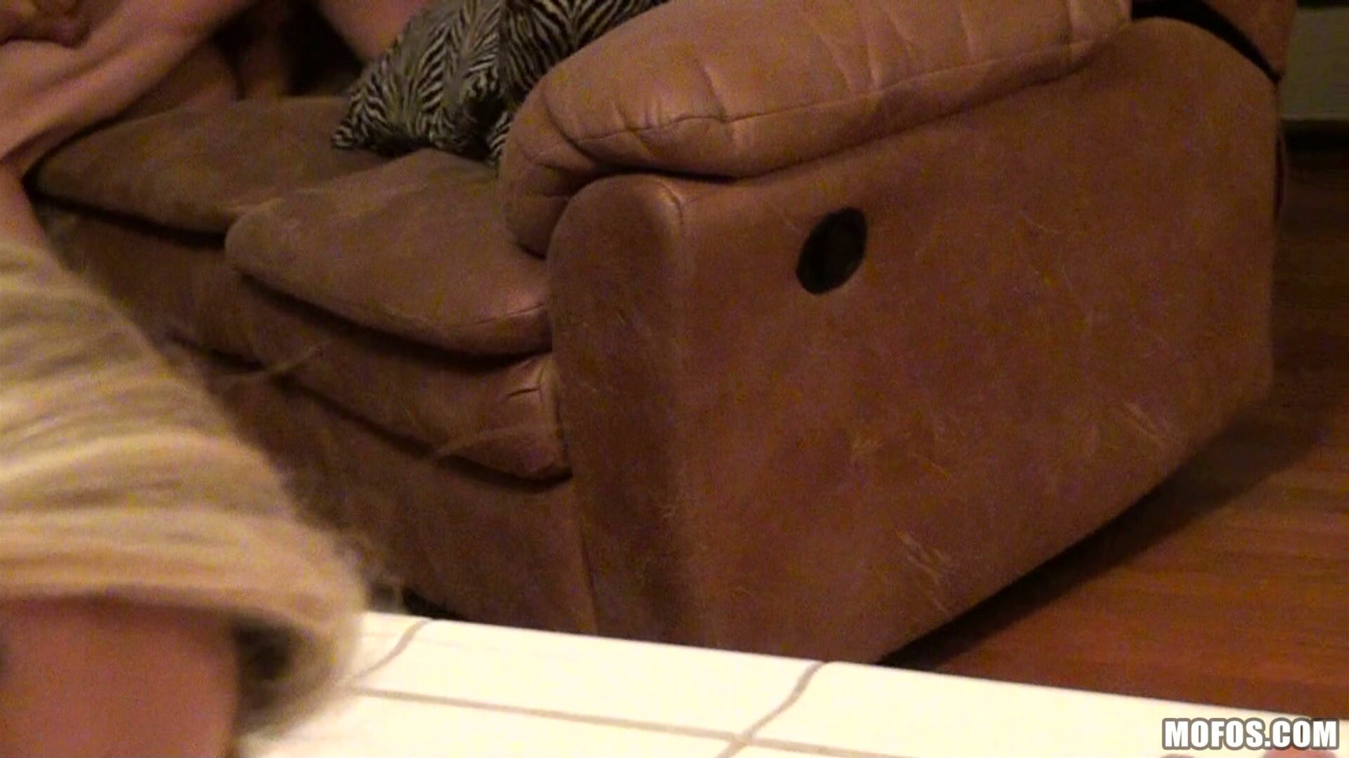 Playful Surprise
