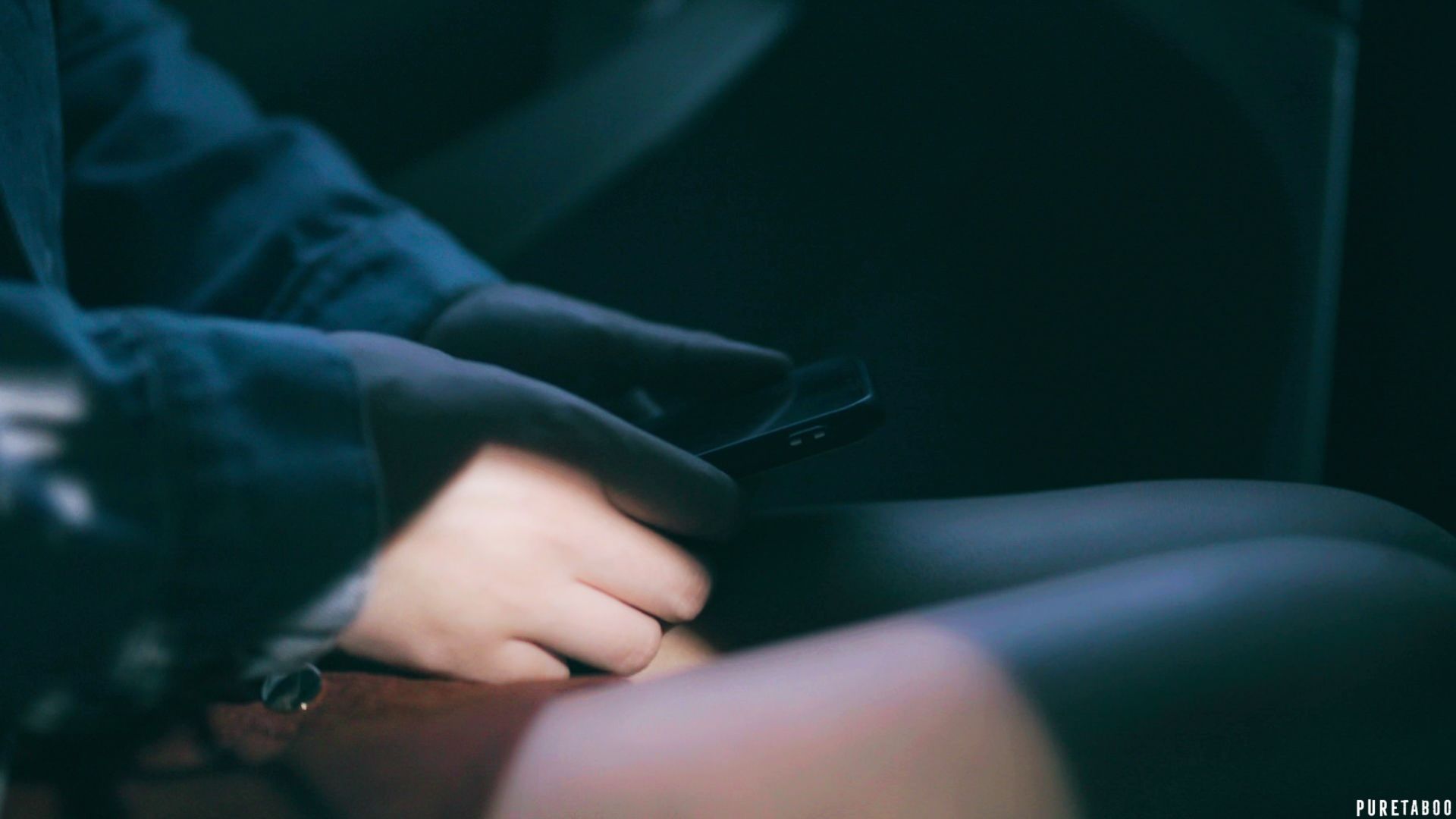 Impregnating The Sitter