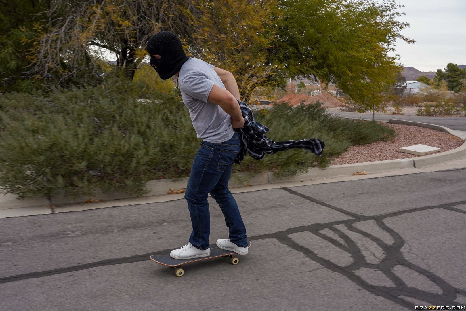 Handle the Vandal
