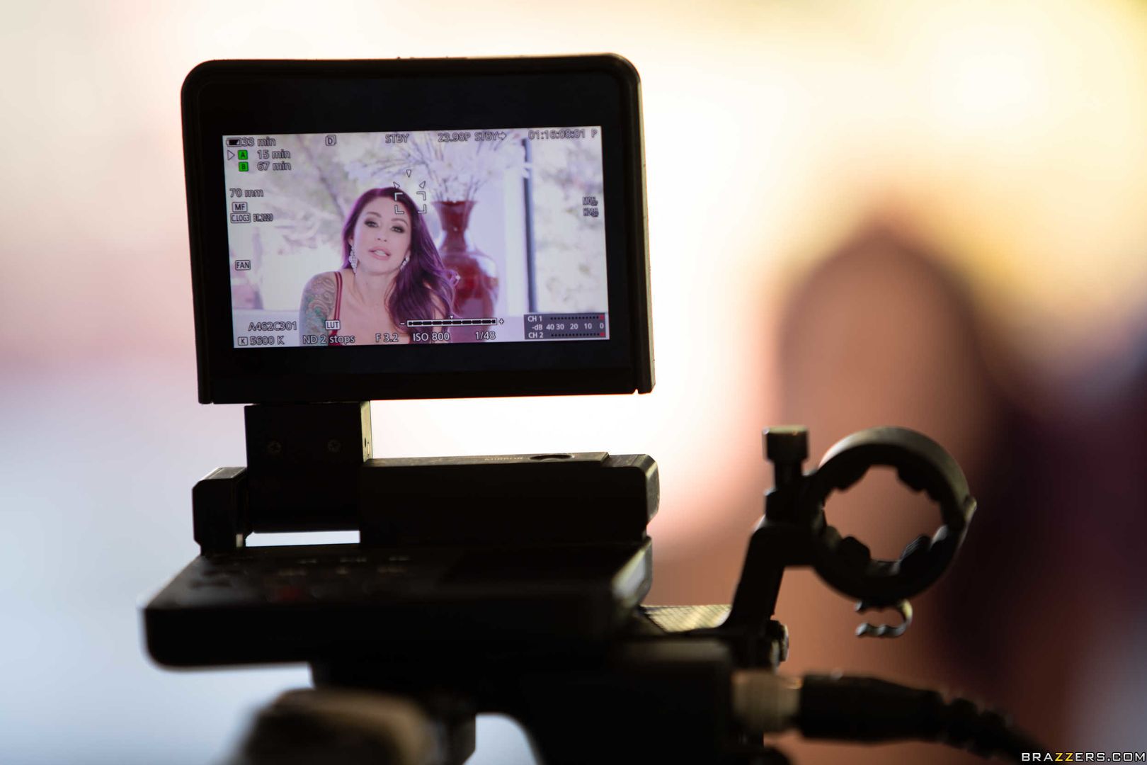 Day With A Porn Star: Monique Alexander