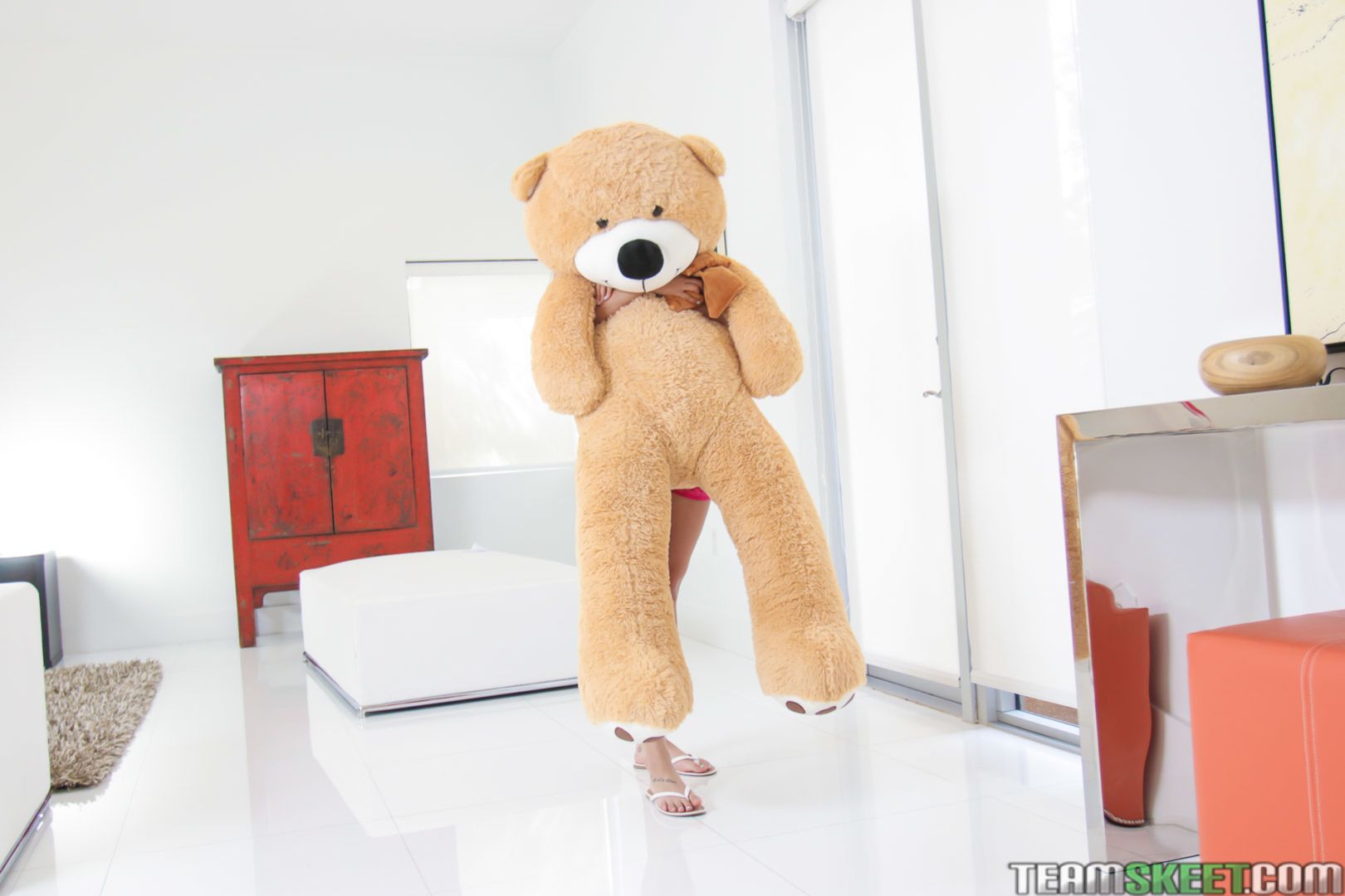 Immature Spinner Caught Fucking A Teddy Bear photo set - OK.PORN