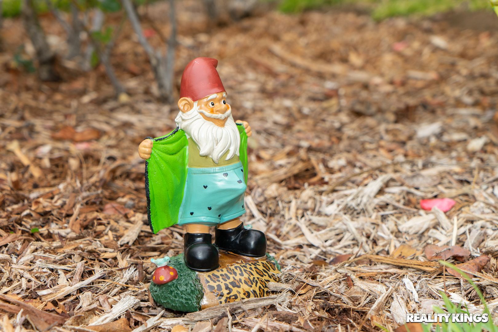 Lil Lawn Gnome
