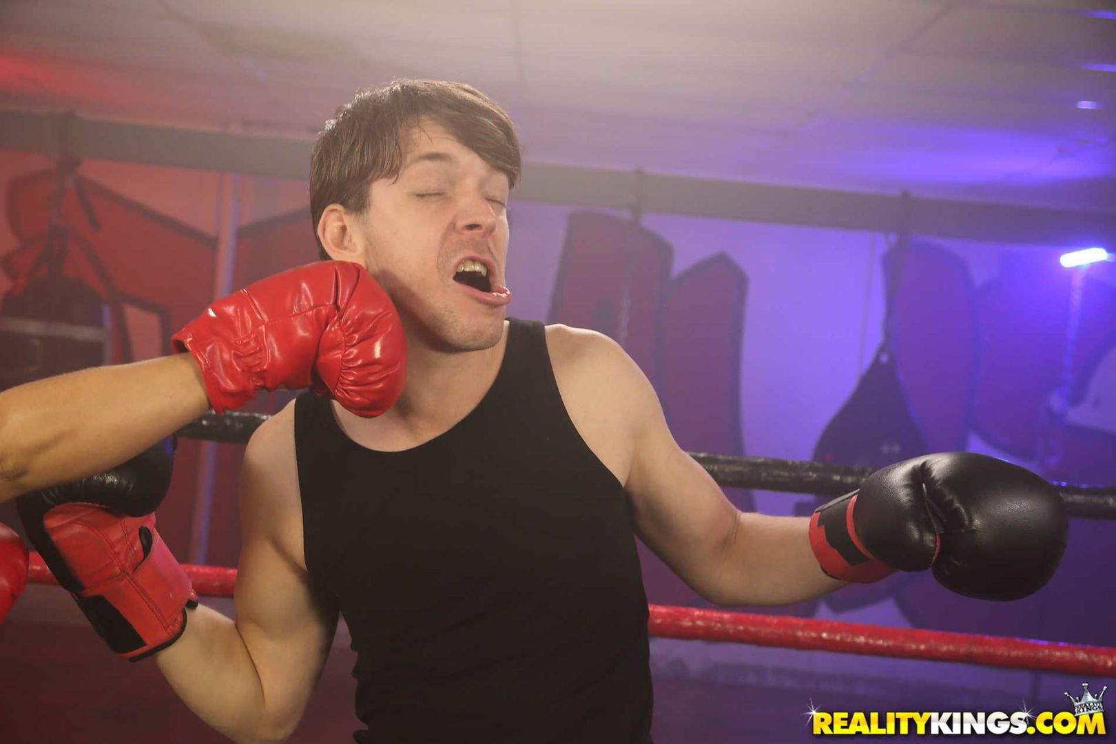 Bodacious Boxer
