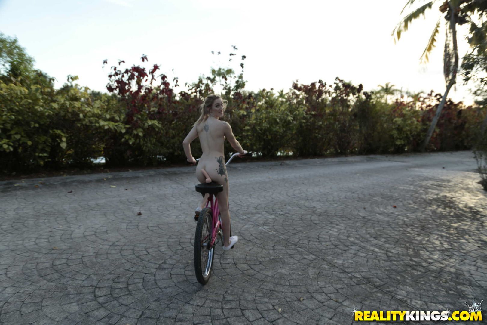 dildocycle