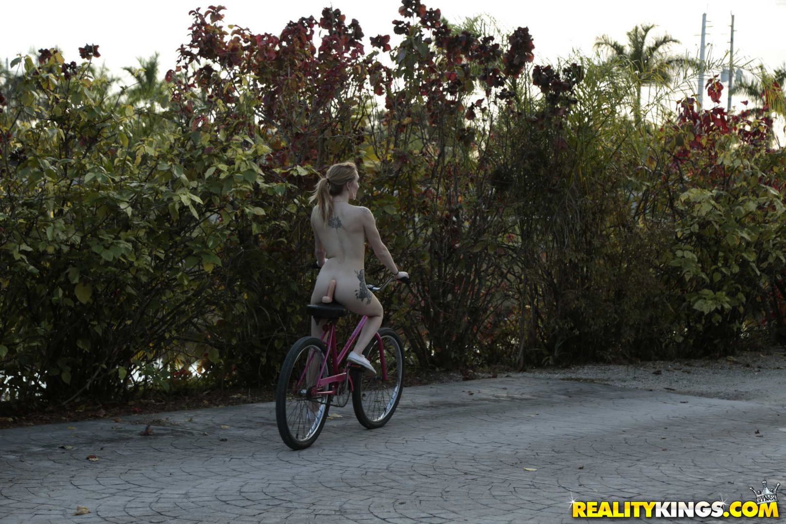 dildocycle