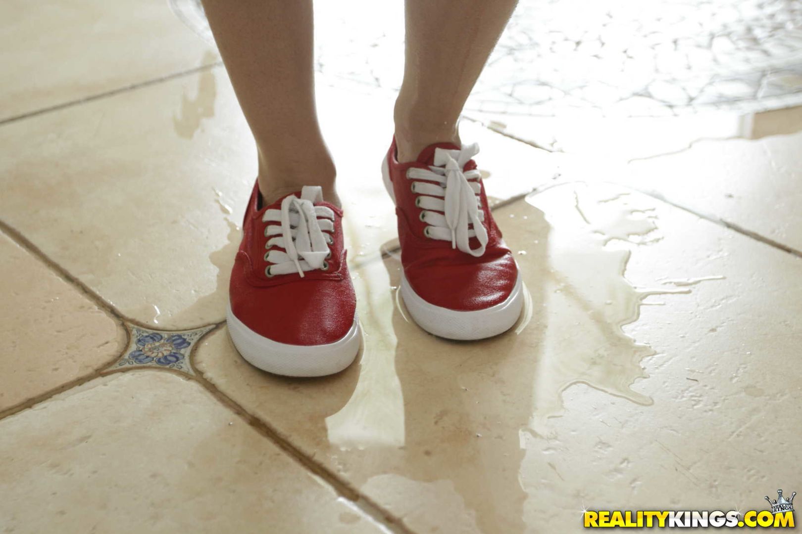 Wild Car Wash