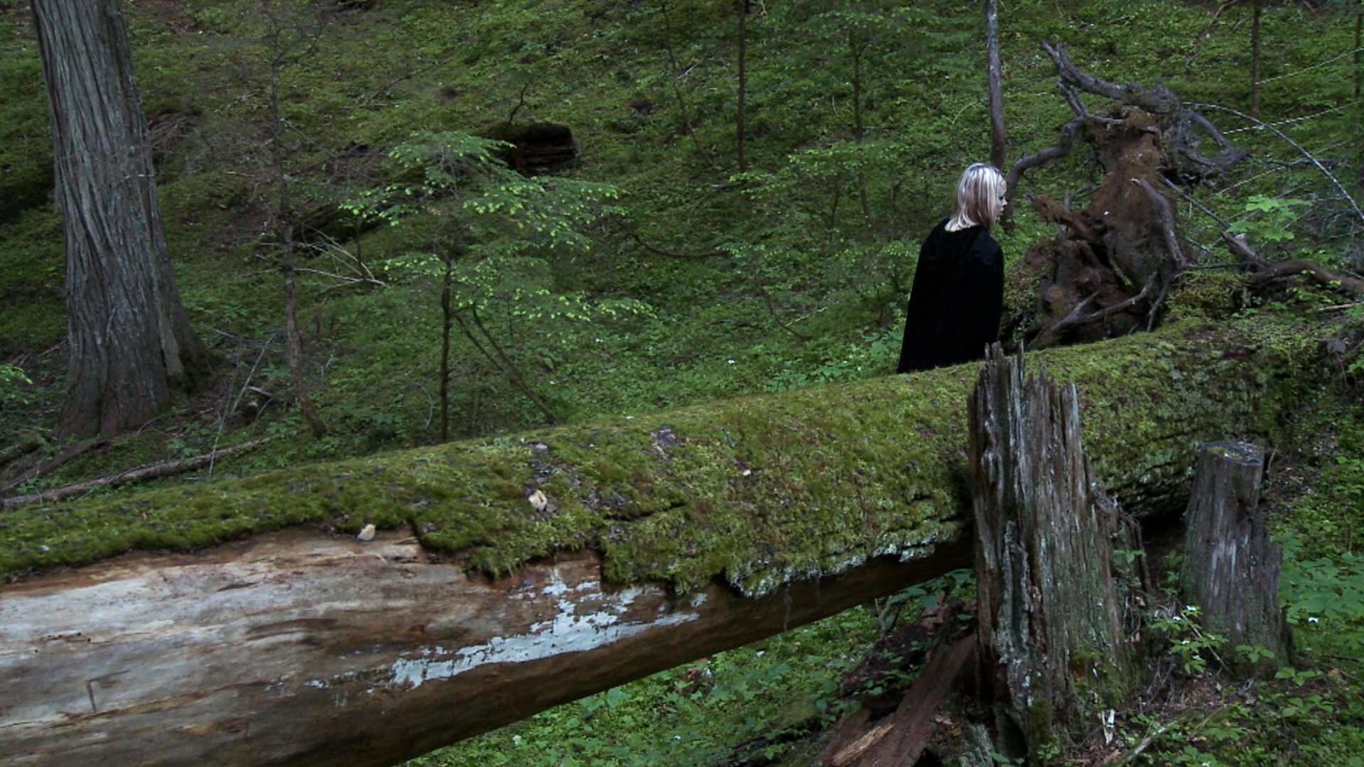 The Green Forest