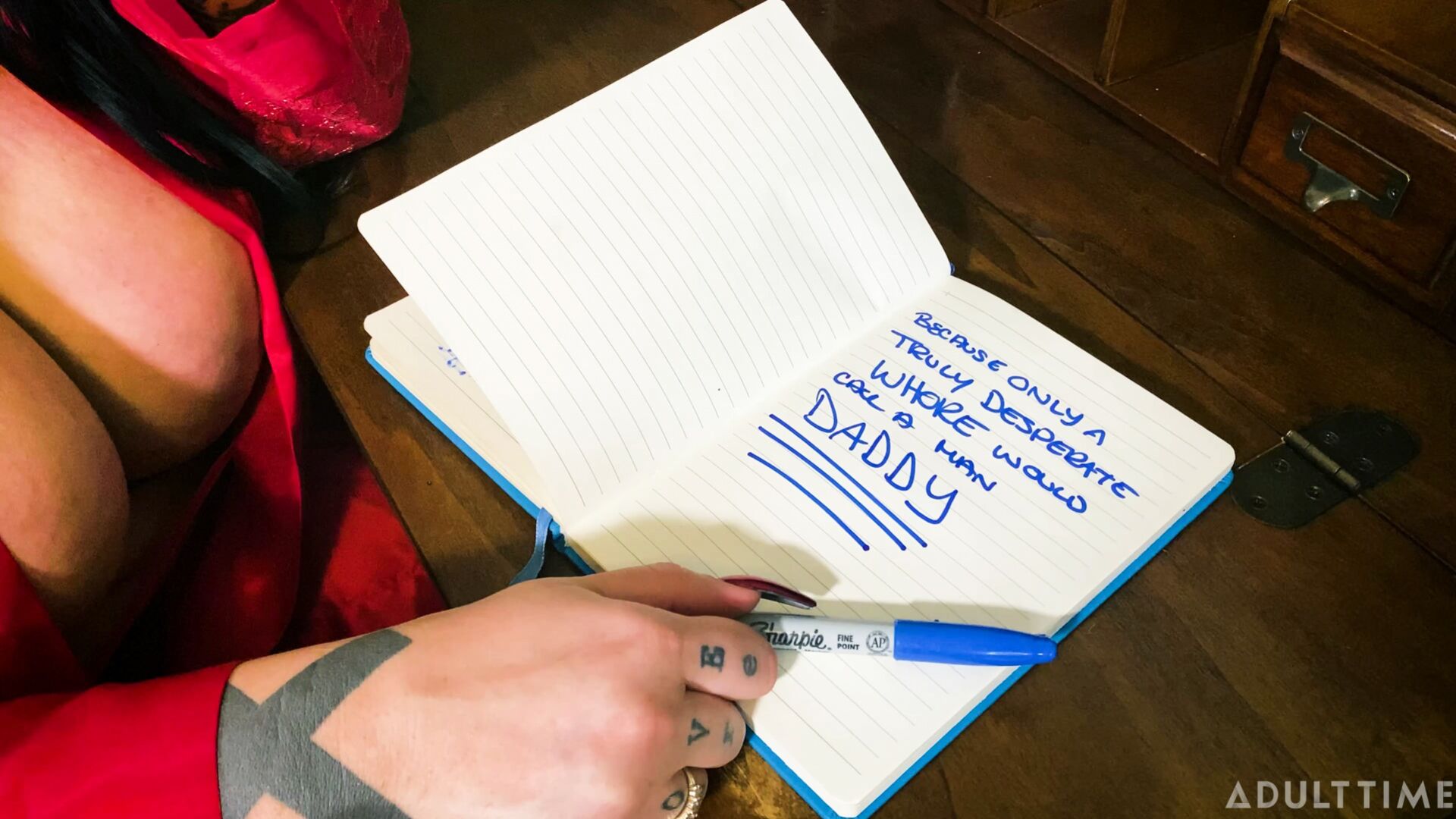 Dear Diary V