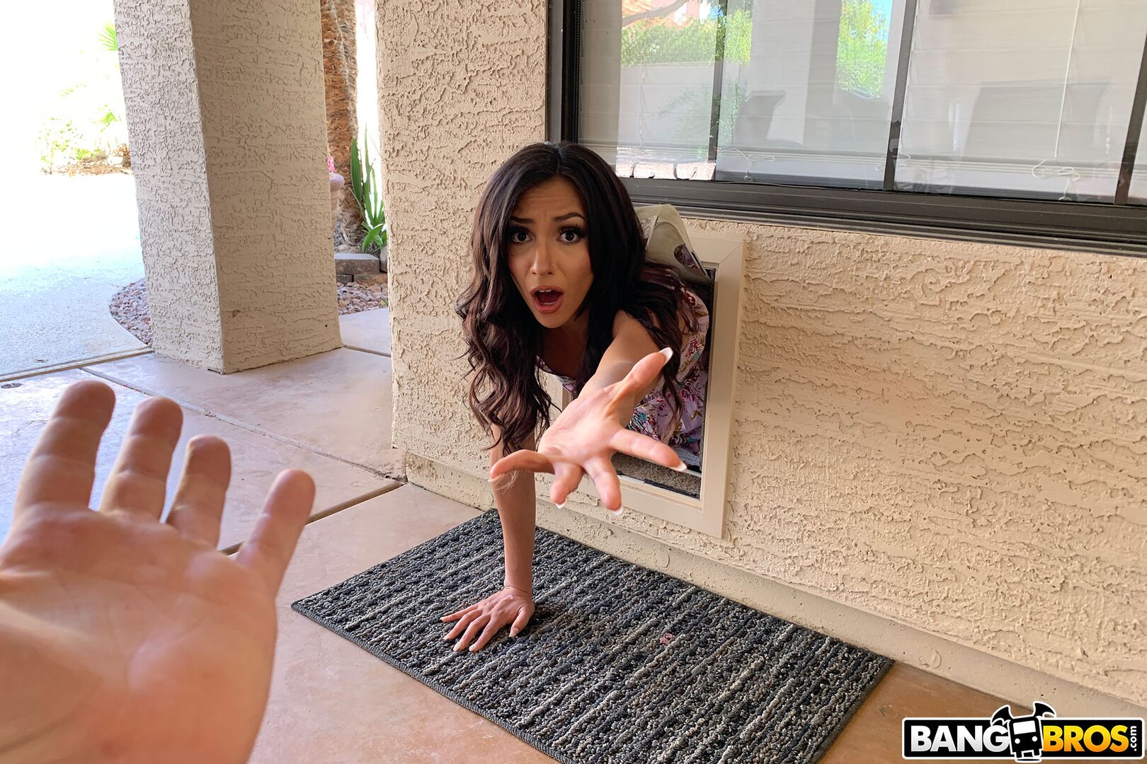 Stuck Doggy Style