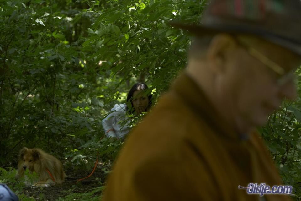 Hot Picnic Meal