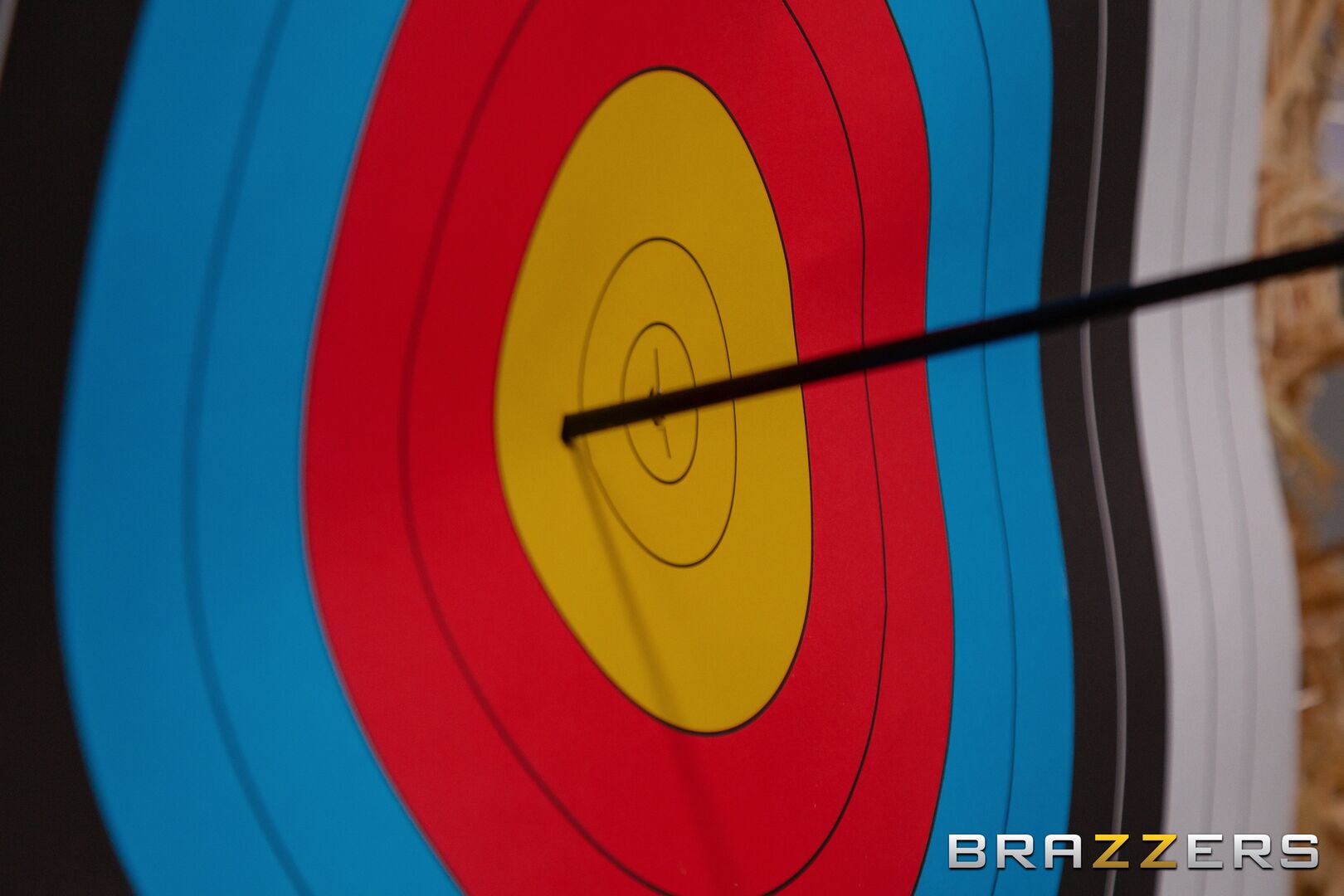 Ready, Aim, Anal!