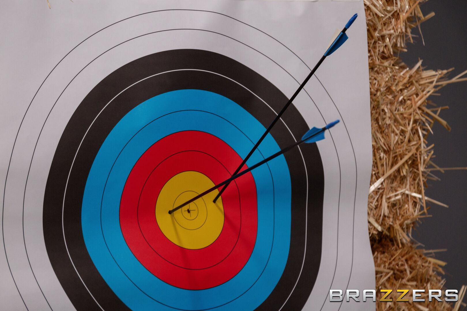Ready, Aim, Anal!