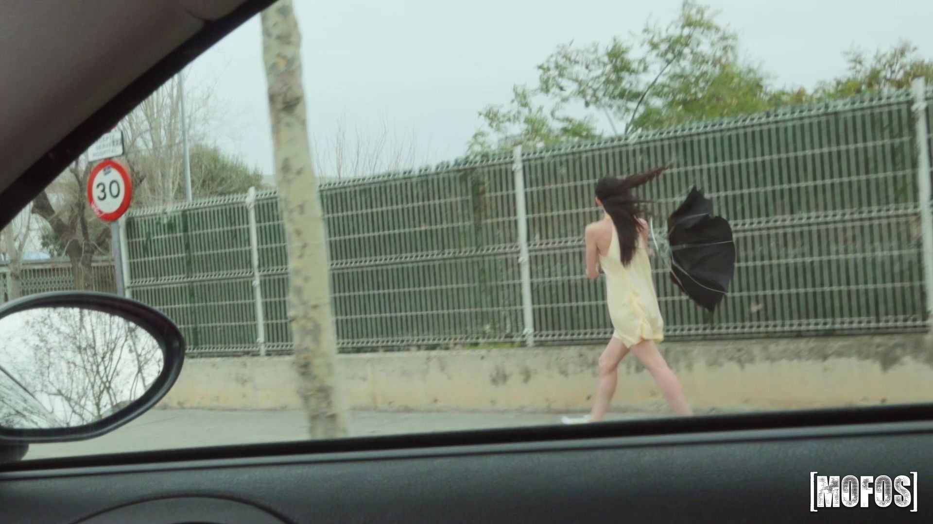 Pussy Stranded In The Wind