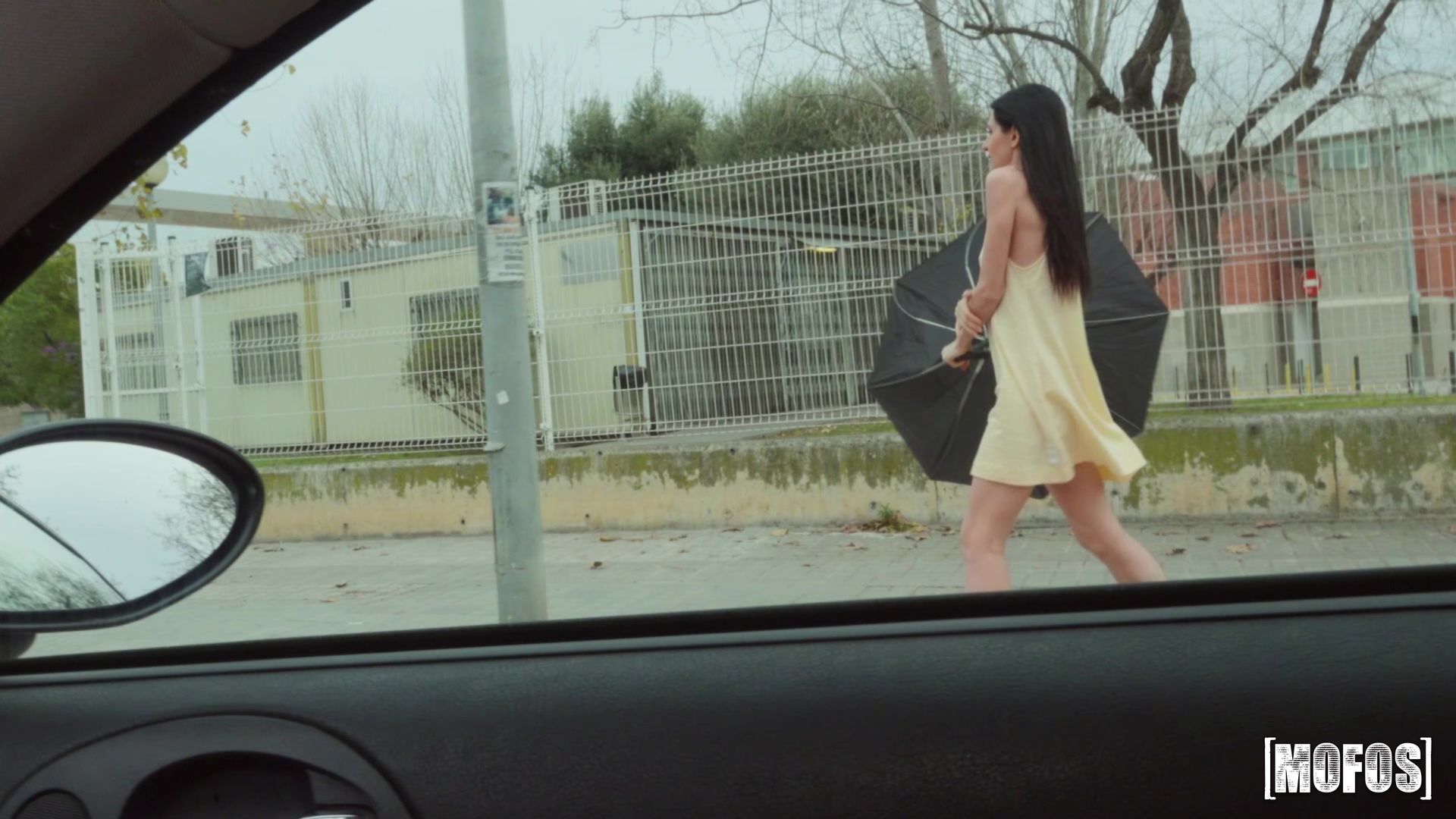 Pussy Stranded In The Wind