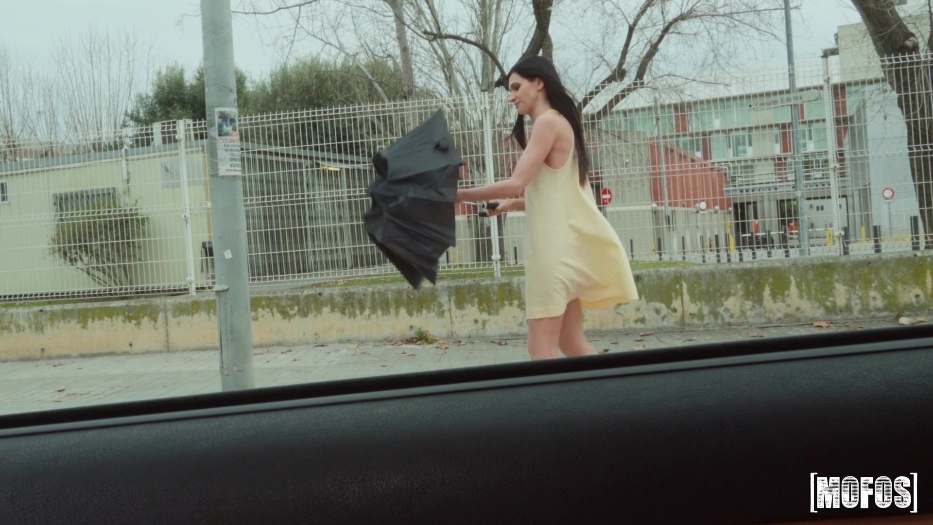 Pussy Stranded In The Wind