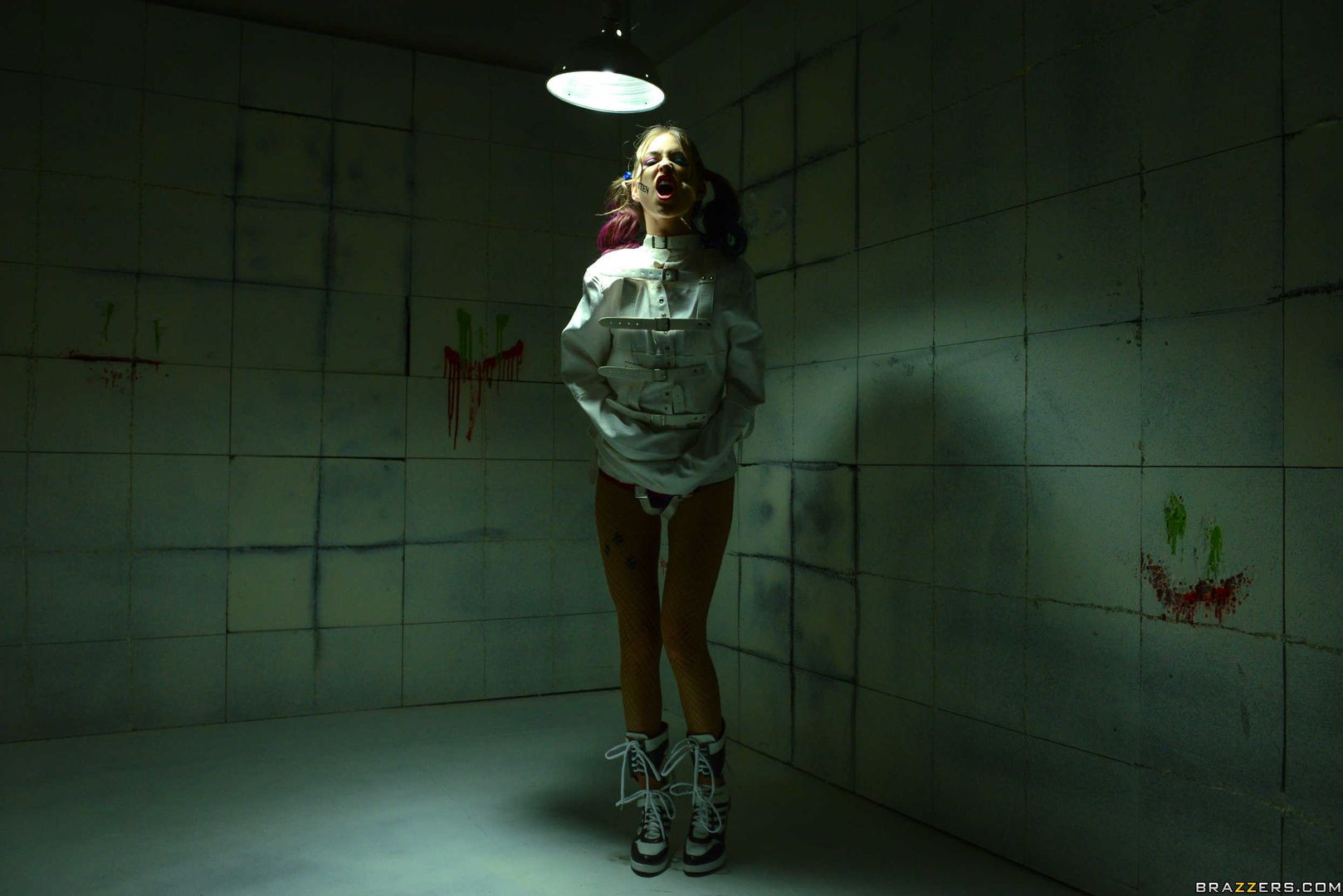 Harley In The Nuthouse (XXX Parody)