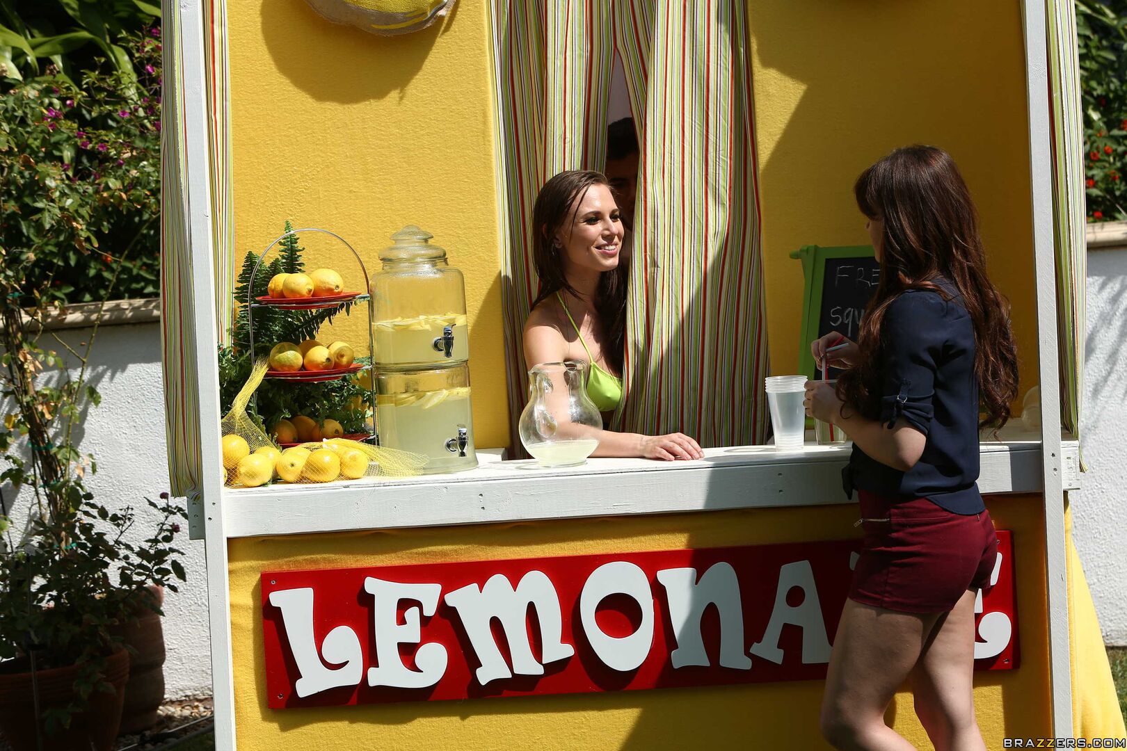 ZZ Lemonade: Aidra Fox