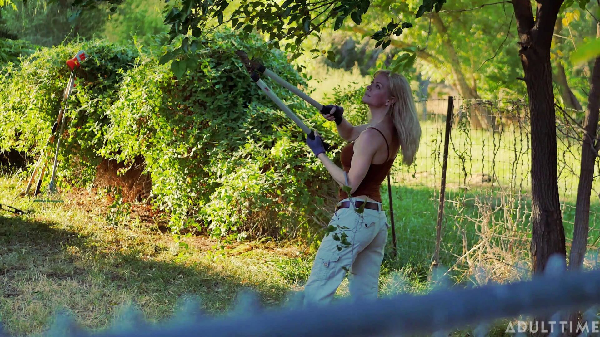Planting Seeds on My Neighbor's Wife